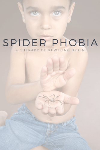 Spider Phobia And Therapy Of Rewiring Brain