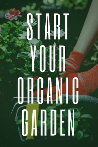 Start Your Own Organic Garden